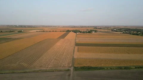 Drone view of crop fields Stock Footage 287110482