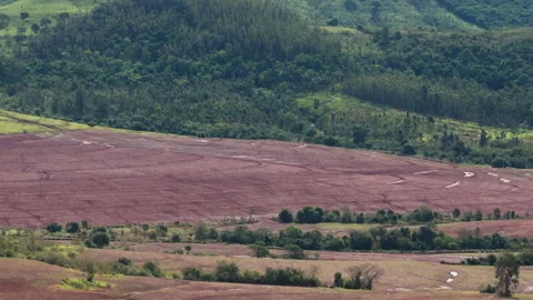 Drone View of Cropland Beside Forested Hills Stock-Footage 336336838