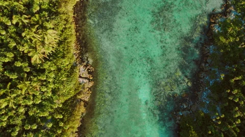 Drone view of crystal clear turquoise lagoon surrounded by dense green jungle Video stock 321354373