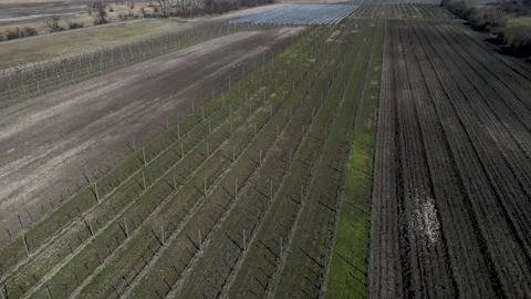 Drone view of the cultivated fields on the lakeshore, Neusiedl Lake, 4k Stock Footage 235693984