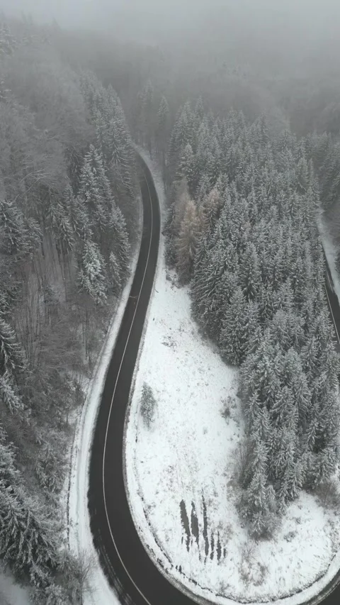 Drone View of a Curved Mountain Road with Snowy Pines. Vidéo 296737657
