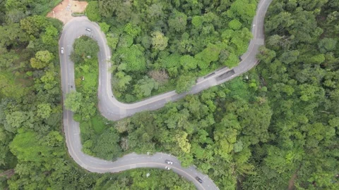 Drone View of Curved Road Through Lush Trees in Thailand’s Scenic Landscape Stock Footage 307068127