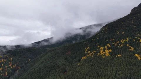 Drone View of Dark Mountain Forest and Mist Stock Footage 332925696