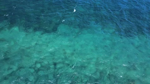 Drone view of deep blue ocean water with little waves. Diving on the Canary Stock Footage 160544734