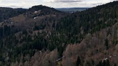 Drone View Of Dense Forest Landscape In The Mountains Stock Footage 329649361