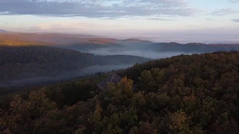 Drone view of a dense mountain forest co... | Stock Video | Pond5