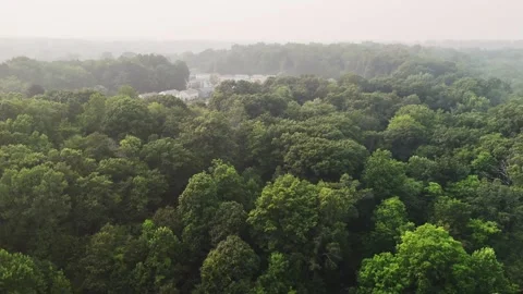 Drone view of dense smoke covering a residential forest landscape... Stock Footage 340291108