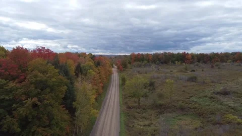 Drone view of dirt road through colorful autumn forest. Stock Footage 254172599