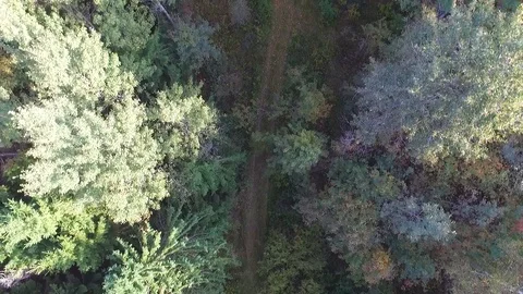 Drone view of dirt track Stock Footage 104597044