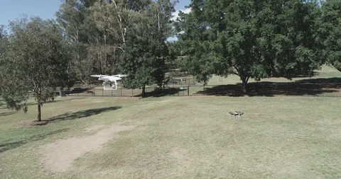 Drone view of DJI Phantom 4 and Tello Stock Footage 96224019