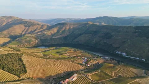 Drone View of Douro Valley Vineyards and River at Sunset Video stock 344288117