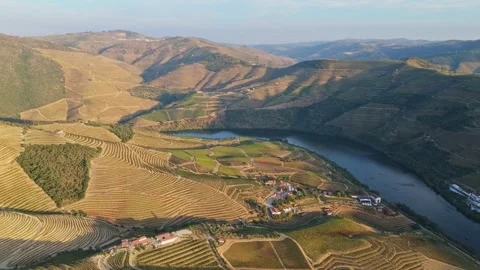 Drone View of Douro Valley Vineyards and River at Sunset Stockbeeldmateriaal 344955246