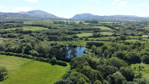 Drone view drifting above caravan retreat surrounded by natural greenery and Vídeo Stock 337294464