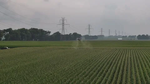 Drone view of drone spraying cornfield. 動画素材 343394459