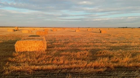 Drone view during sunrise over a farm hay field and river in Alberta Canada Stock Footage 228831933
