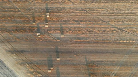 Drone view during sunrise over a farm hay field and river in Alberta Canada Stock Footage 228832003