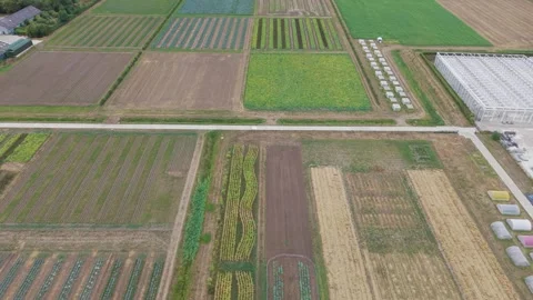 Drone view of dutch agricultural fields, greenhouses and crop patterns Vidéo 342590485