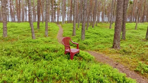 Drone view of empty red plastic chair in green forest - symbol of isolation Stock Footage 318510775