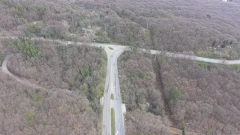 Drone view of empty road through forest with natural scenery Video stock 332773345
