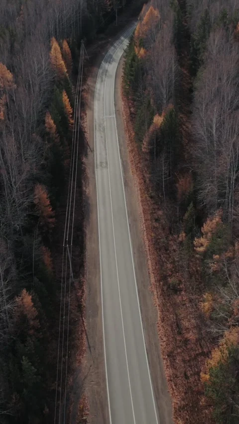 Drone view of empty winding highway in autumn forest, Ural Mountains Russia Stock Footage 346558985