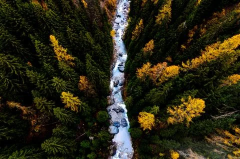 A drone view of evergreen trees and a stream in Muhlebach VS. Stock Photos