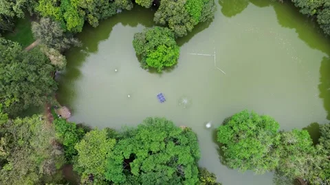 Drone View of Experimental Lake Surrounded by Forest Stock Footage 307958822