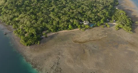 Drone view of exposed coral reef at low tide along the jungle coastline of West Vídeo Stock 331105770