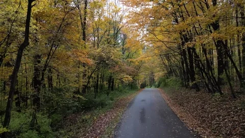 Drone View of Fall Colors Stock Footage 274733367