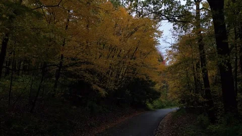 Drone View of Fall Colors Stock Footage 274733371
