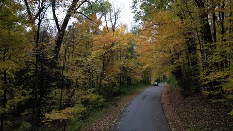Drone View of Fall Colors Stock Footage 274733372