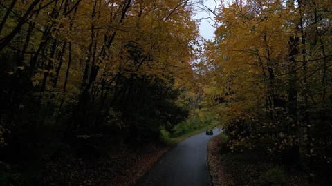 Drone View of Fall Colors Stock Footage 274733374