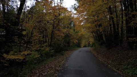 Drone View of Fall Colors Stock Footage 274733402
