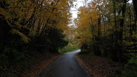 Drone View of Fall Colors Stock Footage 274733409