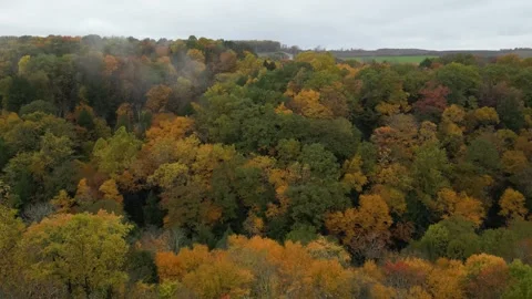 Drone View of Fall Colors Stock Footage 274733410
