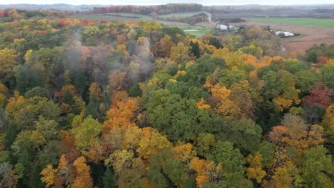Drone View of Fall Colors Stock Footage 274733412