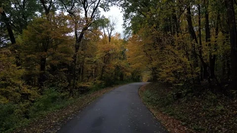 Drone View of Fall Colors Stock Footage 274733413