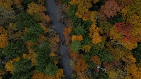 Drone View of Fall Colors Stock Footage 274733519