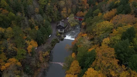 Drone View of Fall Colors Stock Footage 274733549