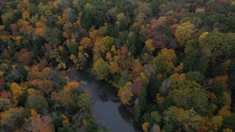 Drone View of Fall Colors Stock Footage 274733550
