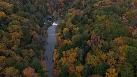 Drone View of Fall Colors Stock Footage 274733551