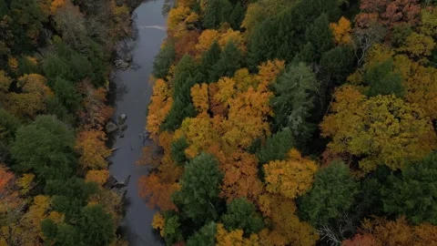 Drone View of Fall Colors Stock Footage 274733729