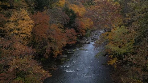 Drone View of Fall Colors Stock Footage 274734028