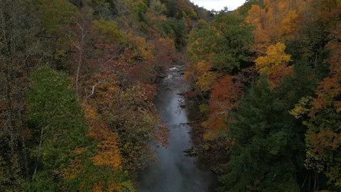 Drone View of Fall Colors Stock Footage 274734040