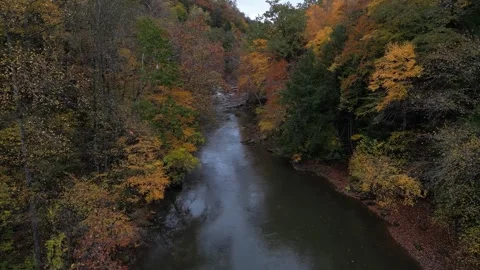 Drone View of Fall Colors Stock Footage 274734055