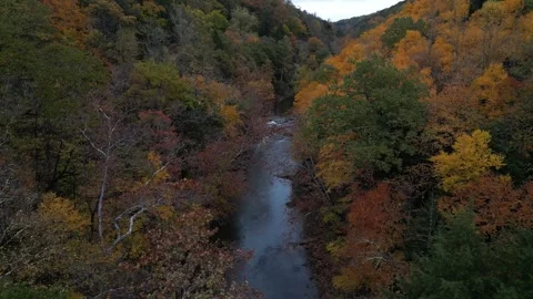 Drone View of Fall Colors Stock Footage 274734060