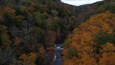 Drone View of Fall Colors Stock Footage 274734068