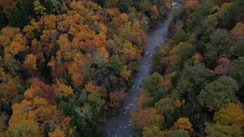 Drone View of Fall Colors Stock Footage 274734093