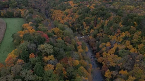 Drone View of Fall Colors Stock Footage 274734094