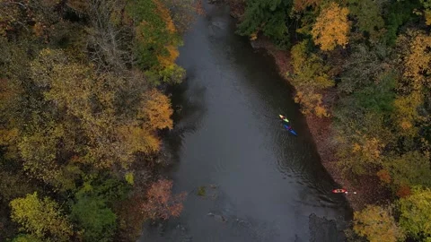 Drone View of Fall Colors Stock Footage 274734109