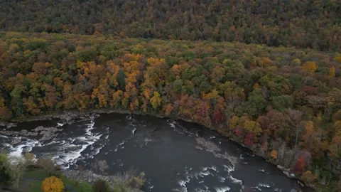 Drone View of Fall Colors Stock Footage 274734457
